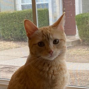 Meet your Posher, Juliana